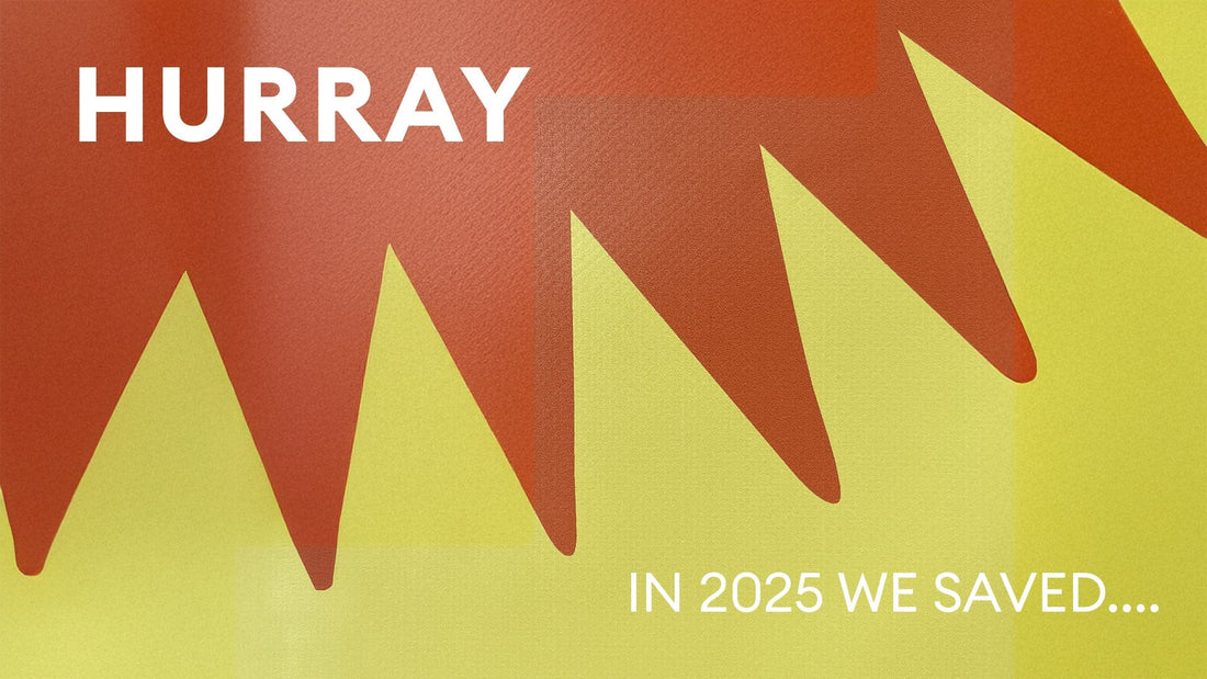 5,058 kg of paper saved: how we made circular impact in 2025